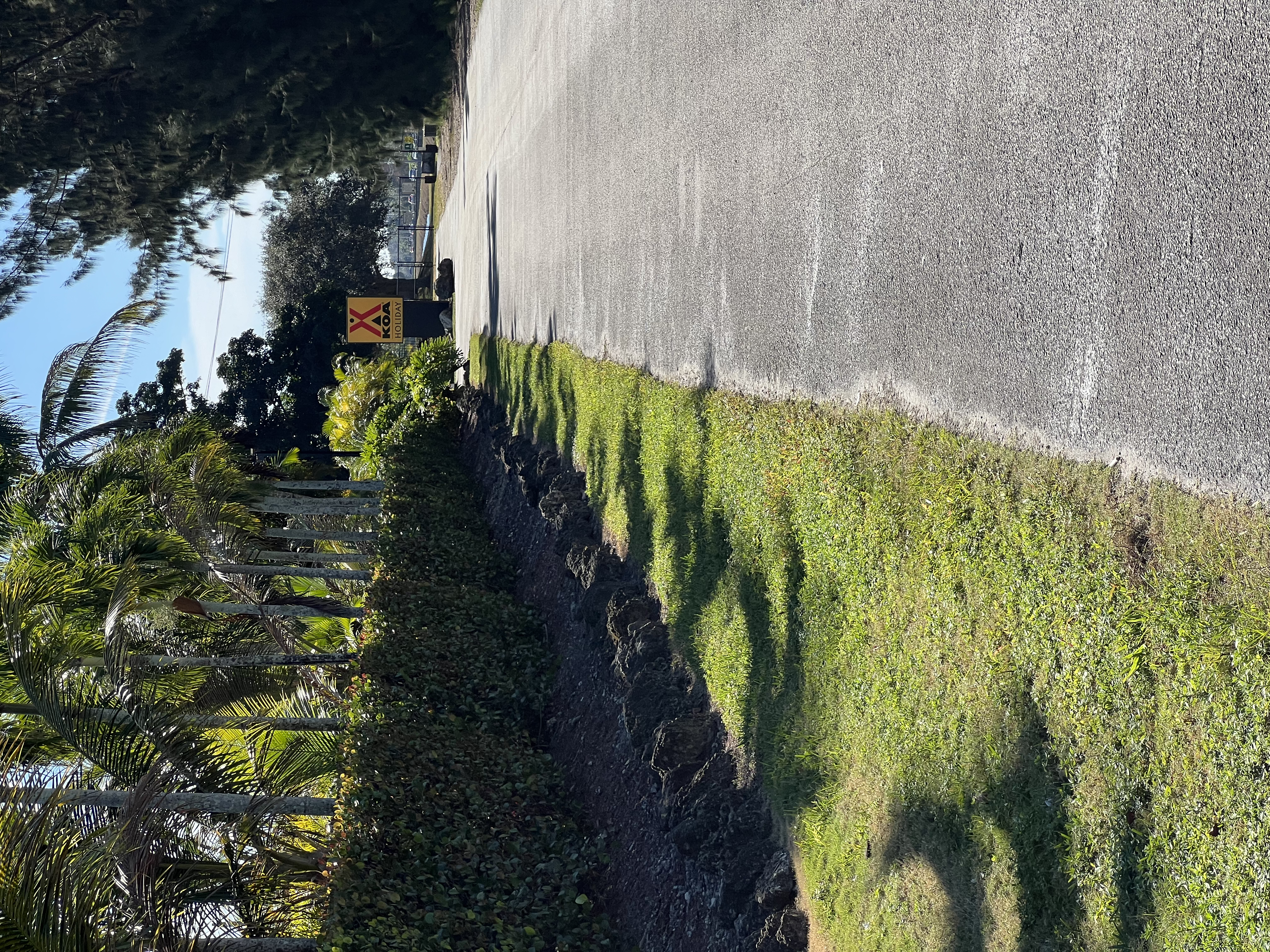 ./2024/12 - Thanksgiving/IMG_4062.jpg